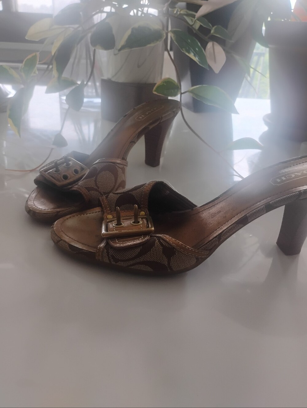 Coach Brown Signature Canvas Buckle Heeled Mules